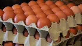 Egg i eggkartong.