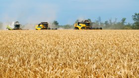 Kornåker med tre treskemaskiner