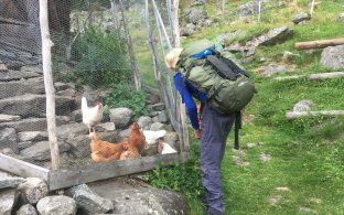 Kontakt med dyr og gårdsdrift er bra for elever som har gården som klasserom, viser ny forskning.