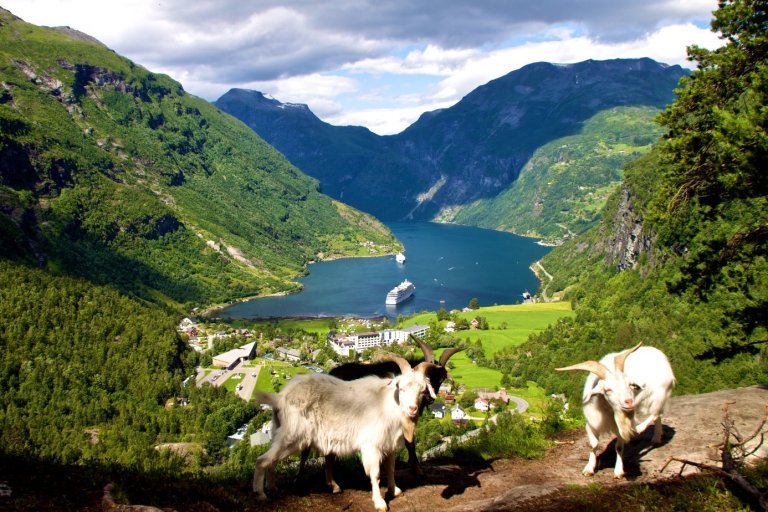 Geirangerfjorden, omkranset av majestetiske fjell og dyr på beite.jpg