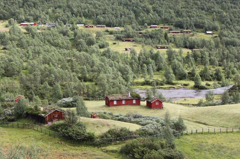 I seterdalene i Budalen har det vært drevet setring siden 1600-tallet, og 12 brukere driver fortsatt seterdrift med melkeproduksjon. Foto: Arild Johan Røttum