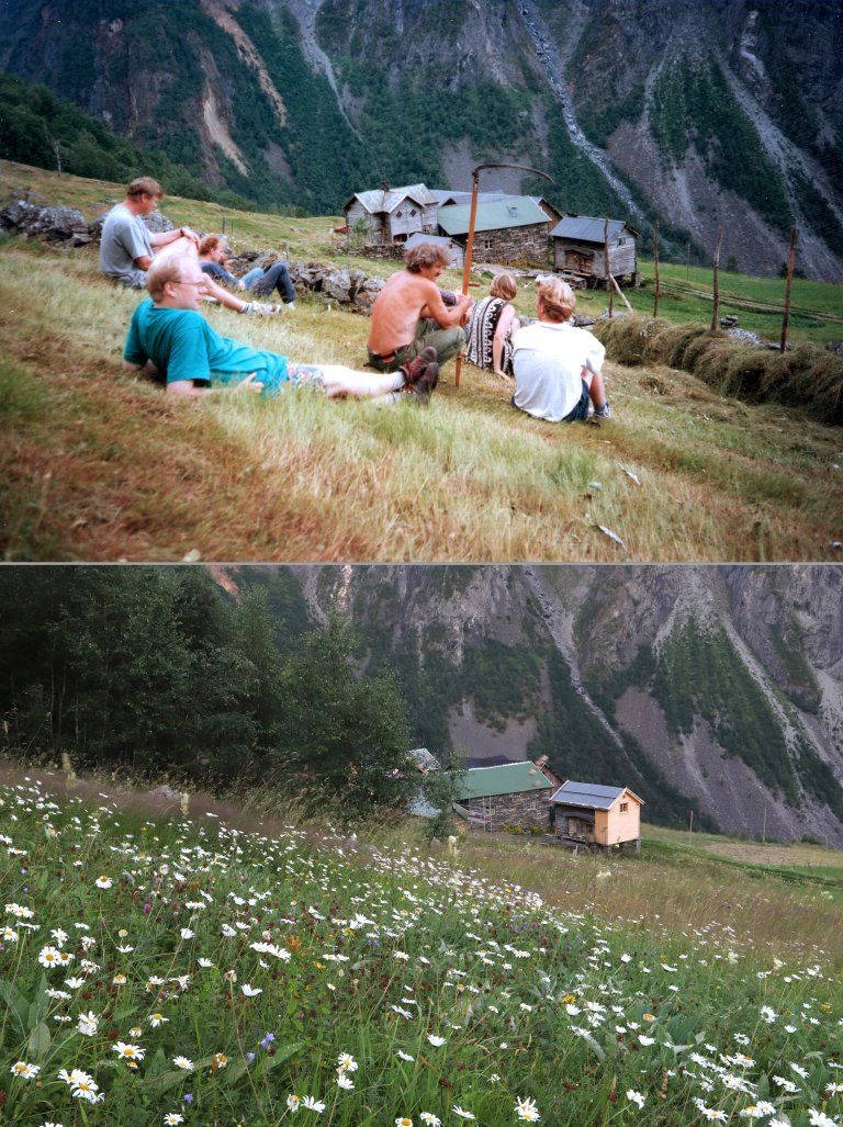 Slåttedugnad i 1998 og den same enga i 2019.