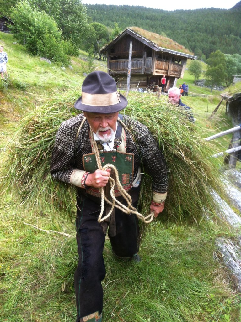 Slåttedag 2016 - høybør - Foto Lisbeth Kismul, Statsforvalteren