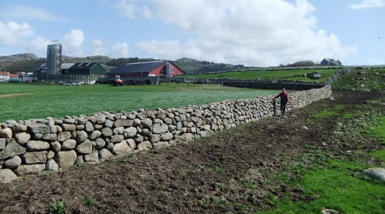 Grunneier Reinert Kjølleberg ved ferdig restaurert steingjerde på Kjølleberg 2015. Vest-Lista, Agder_Foto Ole Steffen Gusdal