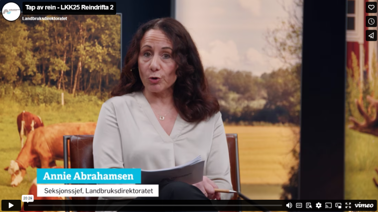 Tap av rein