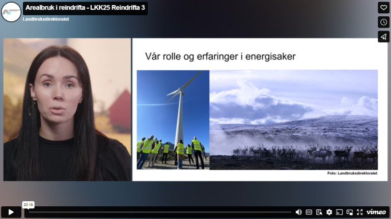 Arealbruk og reindrift