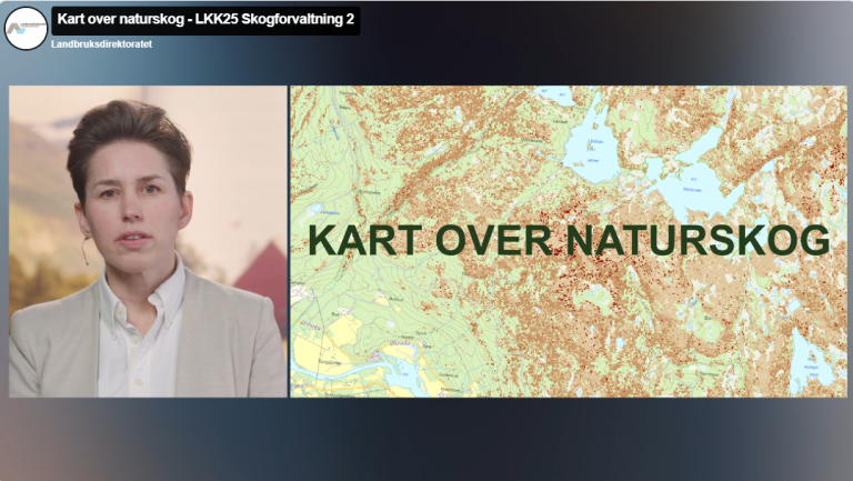 Kart over naturskog - hva finner vi i første versjon?