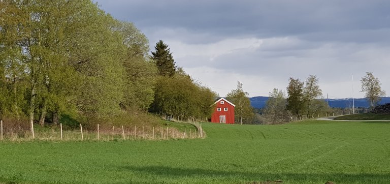 Eiendom, råd gård bak grønn åker.jpg