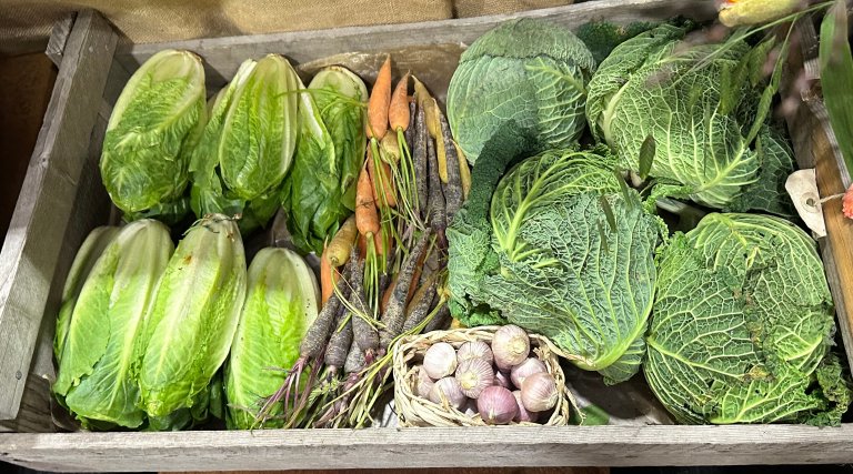 Bilde viser økologiske grønnsaker i en kasse