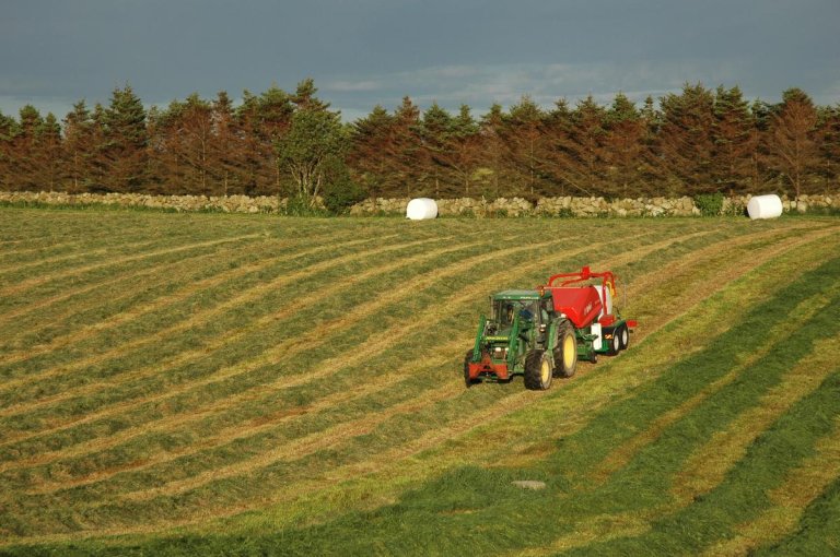 Gras slått Hå 1-1200px.jpg