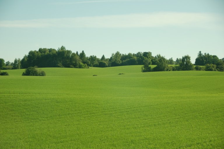Dyrket areal - Lajla Tunaal White (1).jpg