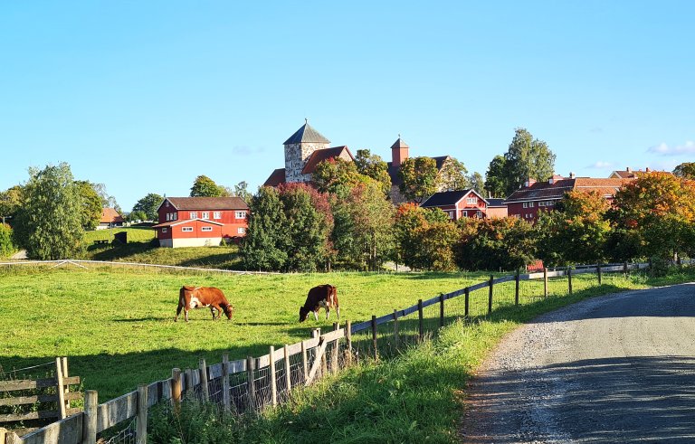 Jordbrukslandskap.jpg