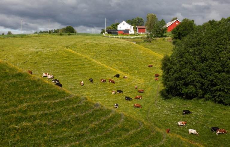 03 Øya og Nordre Eik Foto Oskar Puschmann.jpg