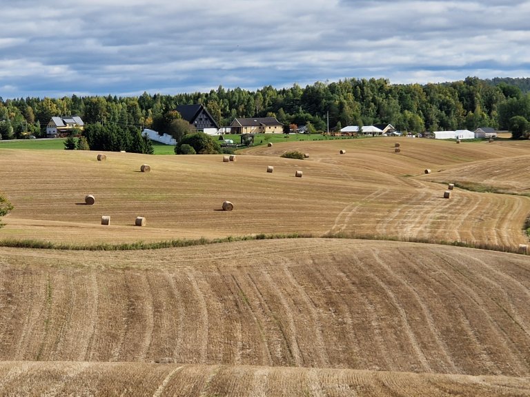 202209 høst på Kløfta.jpg