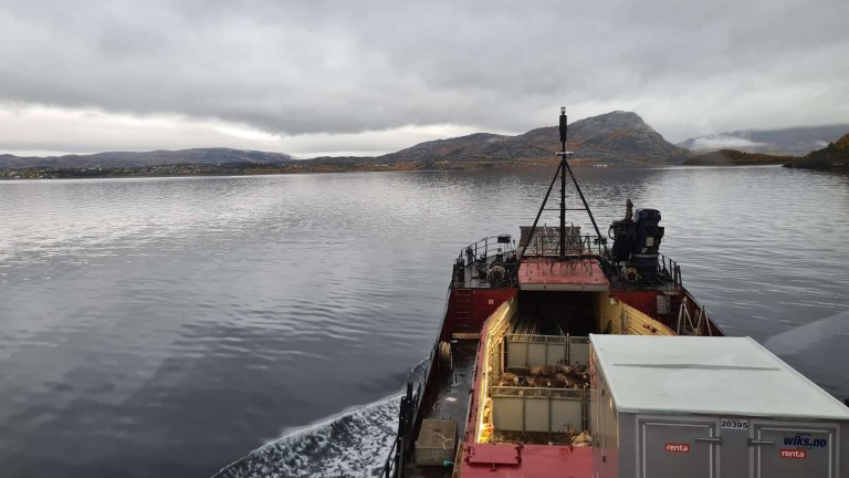 Prammebåt som seiler mot en øy. Det er stille sjø, og lasten med reinsdyr er synlig i lasterommet.