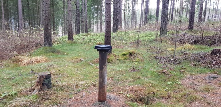 Felle for barkbiller. Foto: P. G. Aftret