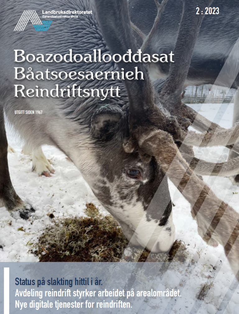 Skjermbilde 2023-12-20 084810.png