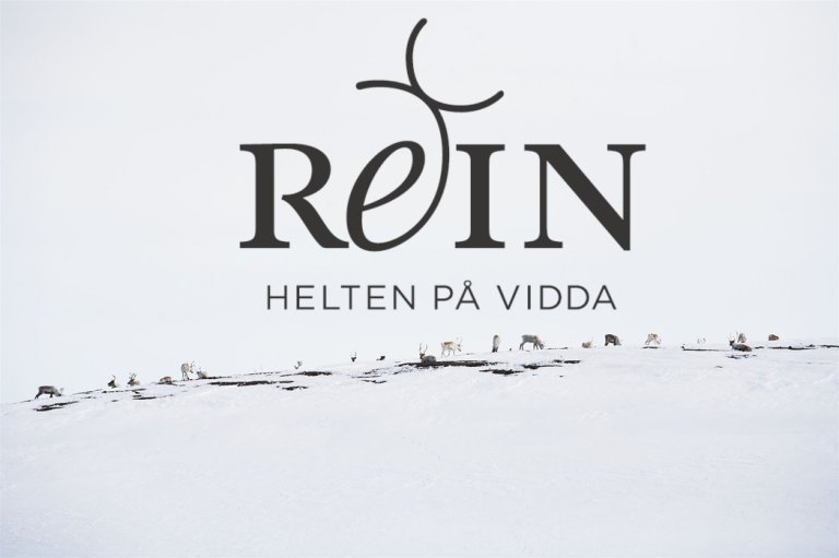 Logo for "Rein helten på vidda".