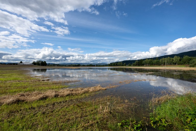 Flom i Drammensvassdraget 2023 Foto Torbjørn Tandberg.jpg