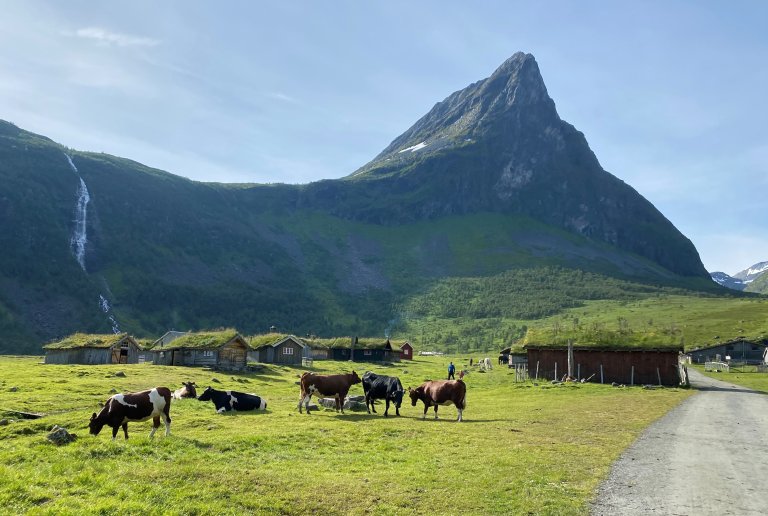 Herdalsetra Foto Jostein Sande.jpg