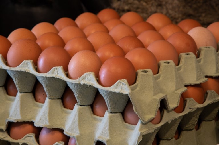 Brune egg i eggkartong.