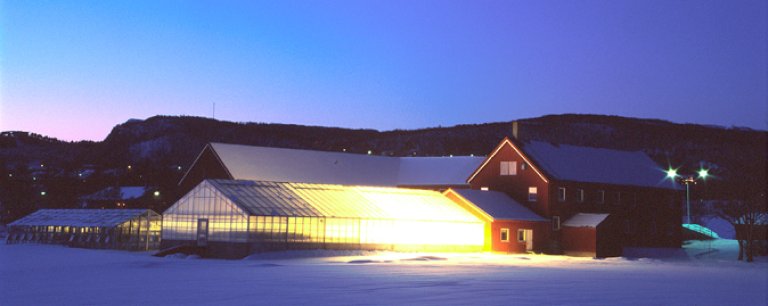 Bilde av drivhus i snø.