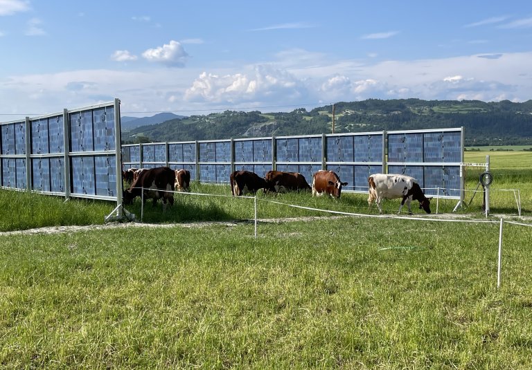 Solceller Skjetlein vgs Foto Gaute Stokkan.jpg