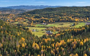 Bilde viser gårder i flott høstlys