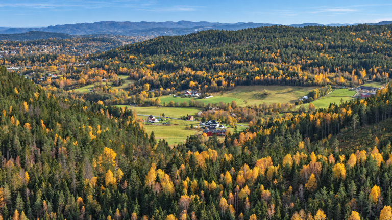 Bilde viser gårder i flott høstlys