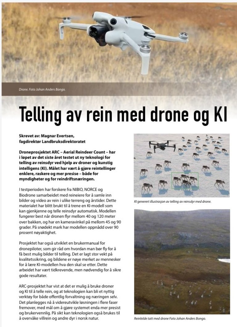 Skjermdump av artikkel om telling av rein med drone og KI fra Reindriftsnytt nr. 2 2025.