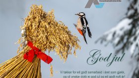 God Jul
