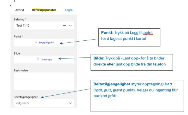 Befaringsinformasjonen for innfylling