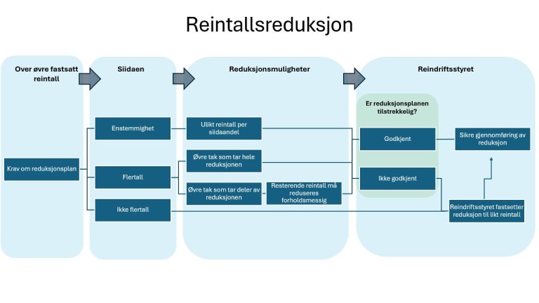 Flytskjema med beskrivelse av prosessen med reintallsreduksjon