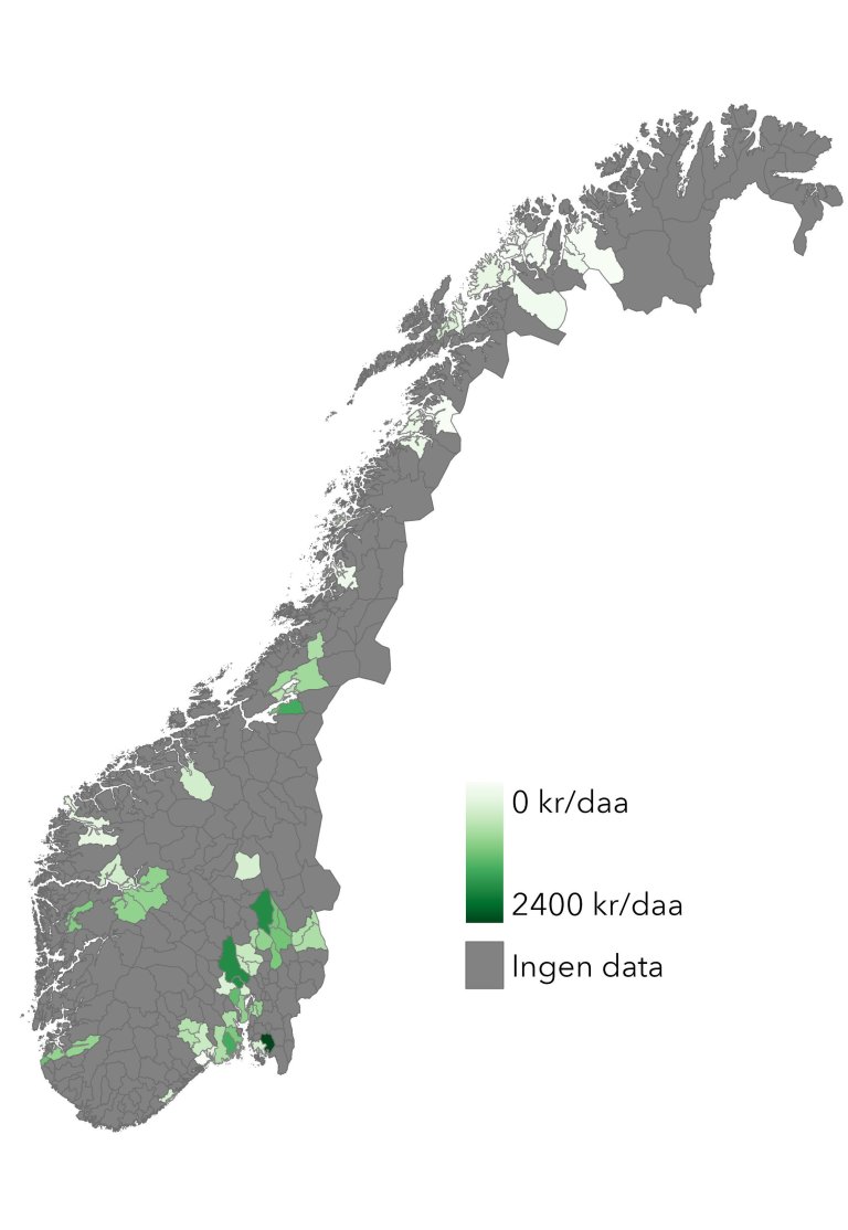 Kartet viser innrapporterte priser på leie av jord til grønnsak-/bærdyrking på kommunenivå.